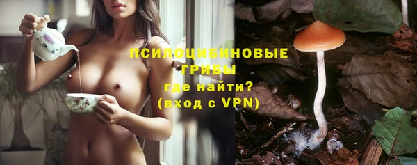 apvp Бронницы