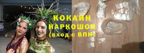 СК Сафоново