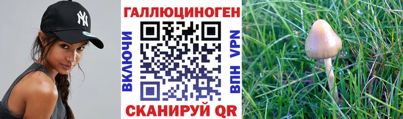 Галлюциногенные грибы мухоморы  Кирово-Чепецк 